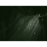 OM SYSTEM OM-3 Mirrorless Camera