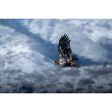 OM SYSTEM M.Zuiko Digital ED 100-400mm f/5-6.3 IS II Lens