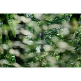 Sigma 20-200mm f/3.5-6.3 DG Contemporary Lens (Sony E) (796965)