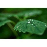 Sigma 20-200mm f/3.5-6.3 DG Contemporary Lens (Sony E) (796965)