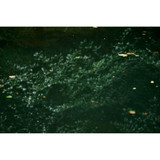 Sigma 20-200mm f/3.5-6.3 DG Contemporary Lens (Sony E) (796965)