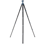 Benro CyanBird 2 Aluminum Tripod with G36PT Inverted Ball Head