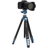 Benro CyanBird 2 Aluminum Tripod with G36PT Inverted Ball Head