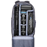 Westcott FJ100 Strobe 2-Light Backpack Kit with FJ-T1 M Multi-Brand Wireless Trigger