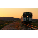 Sony FE 100-400mm f/5.6-8 OSS Lens (Sony E)