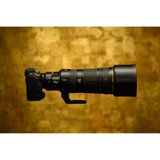 Nikon NIKKOR Z 120-300mm f/2.8 TC VR S Lens *SPECIAL ORDER ONLY*