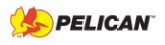 Pelican