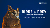 Live Bird Photography is Coming to Precision Camera!