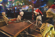 ​HOLIDAY PHOTO CONTEST!