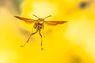 September Photo Contest: Animals