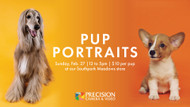 Pup Portraits at the South Store