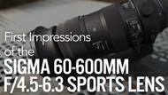 First Impressions: Sigma 60-600mm f/4.5-6.3 DG OS HSM Sports Lens