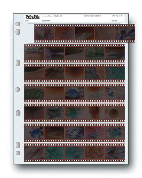 Film and Darkroom Supplies - Precision Camera and Video, Austin TX