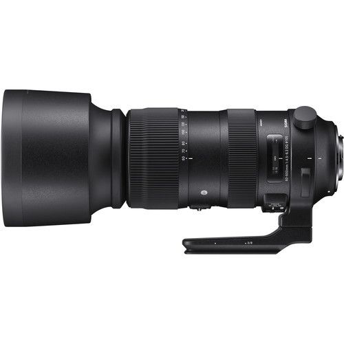 Sigma 60-600mm f/4.5-6.3 DG OS HSM Sports Lens - Nikon F Mount