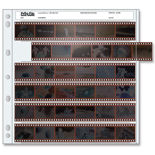 KODAK portra400 ５個入り Kodak カラーネガフィルム ポートラ400 35mm 36枚撮 5本パック