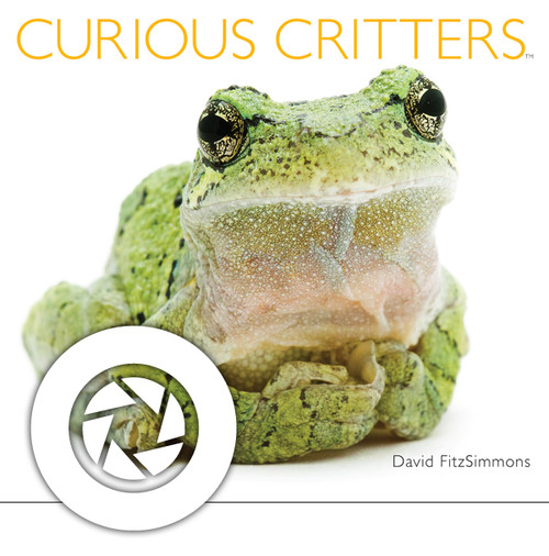 Curious Critters with David FitzSimmons