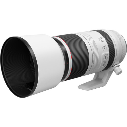 Canon RF 100-500mm f/4.5-7.1 IS USM Lens