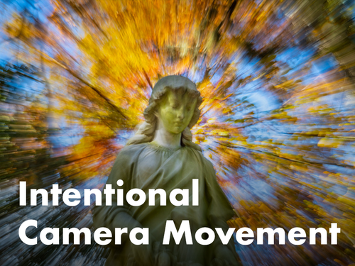 Intentional Camera Movement with Kathy Adams Clark