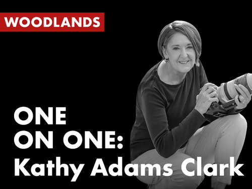 Kathy Adams Clark - One on One (Woodlands)