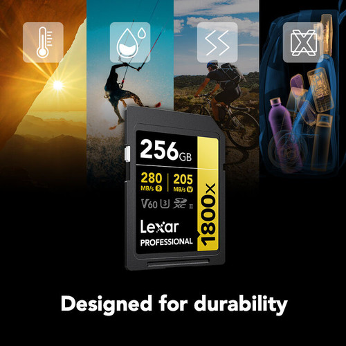 Lexar 256GB Professional 1800x UHS-II SDXC Memory Card (GOLD Series, 2-Pack)