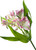 Floral Photography Artistry Class