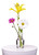 Floral Photography Artistry Class
