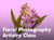 Floral Photography Artistry Class (Austin)