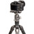 Benro Tortoise Carbon Fiber Tripod with GH2F Gimbal Head