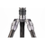 Benro Rhino #2 Carbon Fiber Travel Tripod with VX25 Ball Head (7314492)