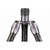 Benro Rhino #3 Carbon Fiber Travel Tripod VX30 Ball Head (7314508)