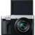 Panasonic ZS99 Digital Camera (Silver) (DCZS99S)