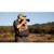 Think Tank Photo PhotoCross Sling V2 (Sage, 11L)