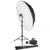 Westcott L120-B Bi-Color LED Monolight (Newborn Portrait Kit)