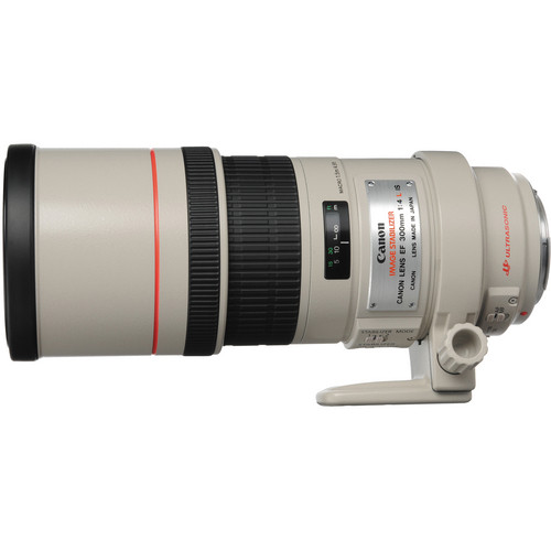 RENTAL ONLY - Canon EF 300mm f/4L IS USM Lens