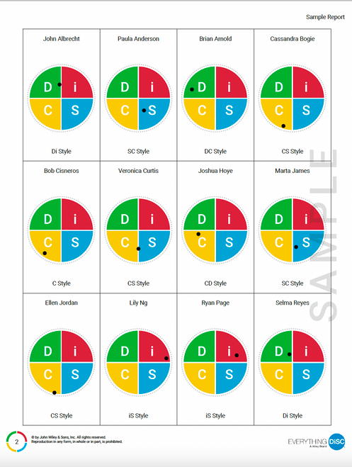 Everything DiSC Team View page sample