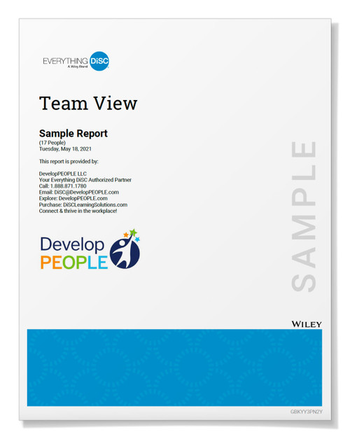 Everything DiSC® Team View