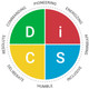 Everything DiSC Work of Leaders® Maps