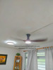Efenz Hugger Ceiling Fan (White Caramel/Dutch Cocoa/ Black Dutch Cocoa/ White Dutch Cocoa/ Satin Titanium/ Black Carbon Fiber)