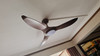 Acorn Voga DC-368 38"/48"/58" Rod Ceiling Fan