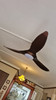 Acorn Voga DC-368 38"/48"/58" Rod Ceiling Fan
