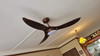 Acorn Voga DC-368 38"/48"/58" Rod Ceiling Fan