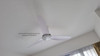 Bestar Star 3 36"/46"/56" ceiling fan