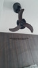 sample: bestar Dino black corner fan