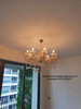 7726/8 LED Gold Crystal Chandelier (E14)