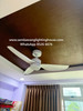 Samaire 3 Blade 32"/42"/52" Ceiling Fan with Light 