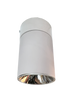 SY7776R White GU10 Tilt Ceiling Lamp