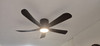 8.8 SALE: iFan 5 Blades 48in/56in Ceiling Fan with Light