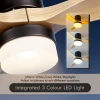 iFan 3 Blades 46in/52in Ceiling Fan with Light