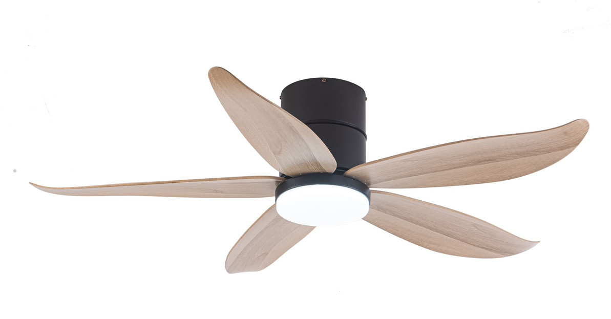 New! Fanco Rito 3 and Rito 5 Ceiling Fans with WiFi