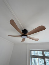 New Fan on the block - iFan !
